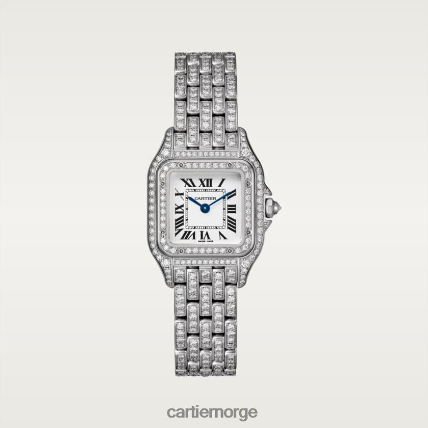 tilbehør Cartier panterklokke stilig F4466N850