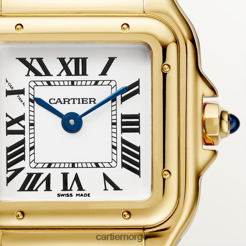tilbehør Cartier panterklokke stilig F4466N851