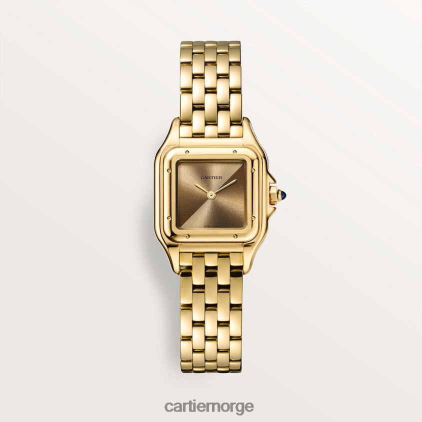 tilbehør Cartier panterklokke stilig F4466N853