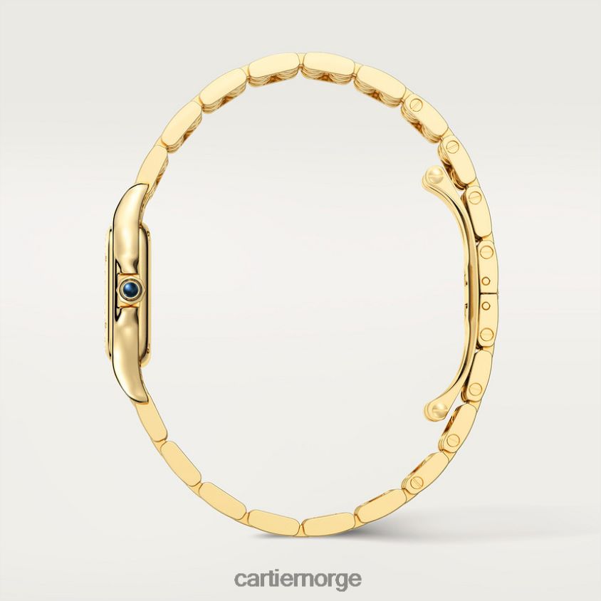 tilbehør Cartier panterklokke stilig F4466N853