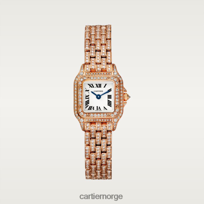 tilbehør Cartier panterklokke stilig F4466N854
