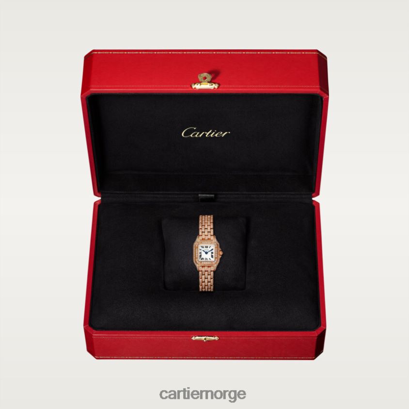 tilbehør Cartier panterklokke stilig F4466N854