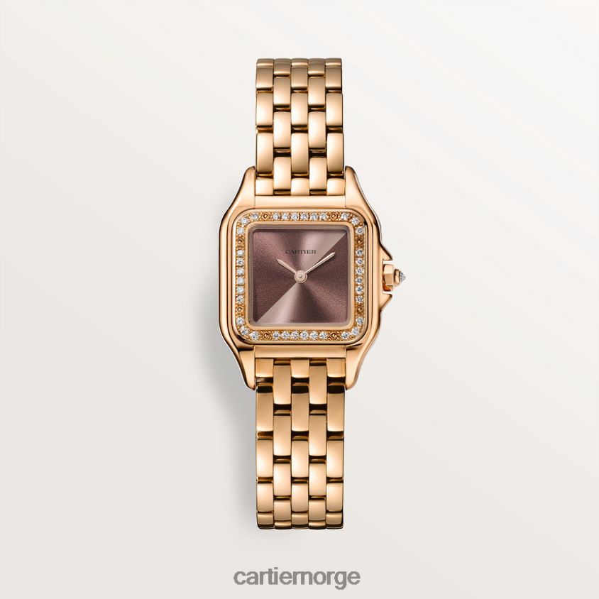 tilbehør Cartier panterklokke stilig F4466N855