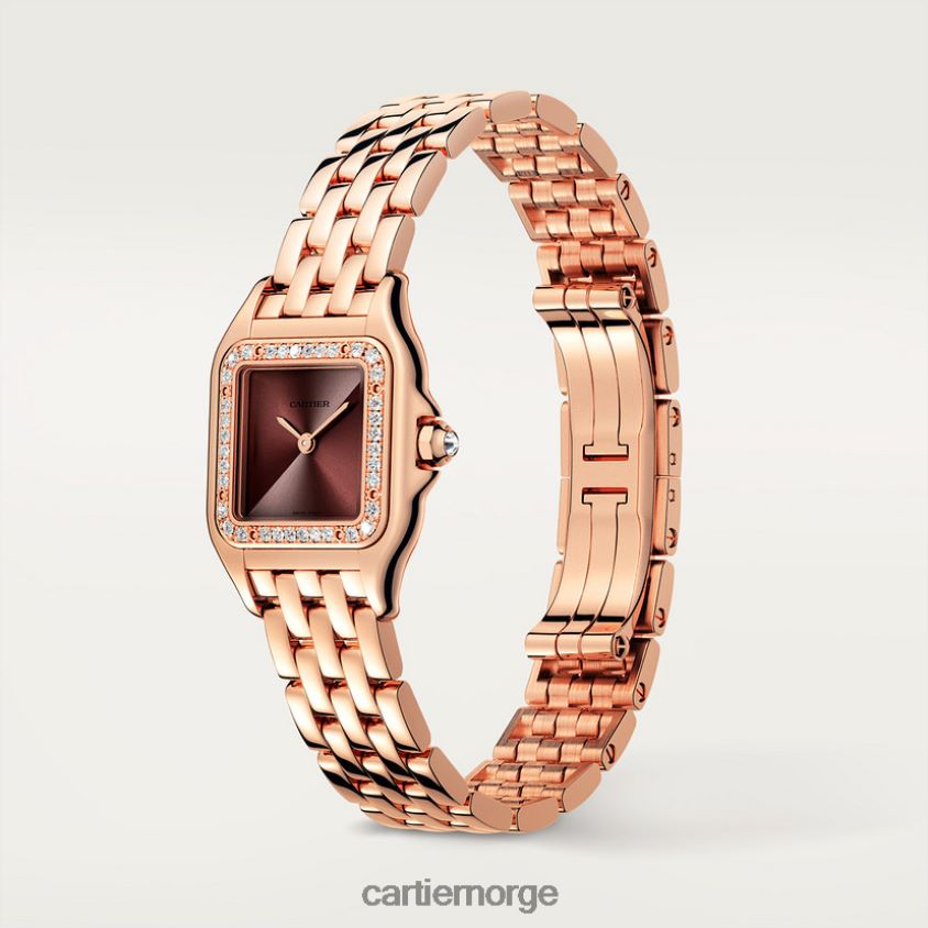 tilbehør Cartier panterklokke stilig F4466N855