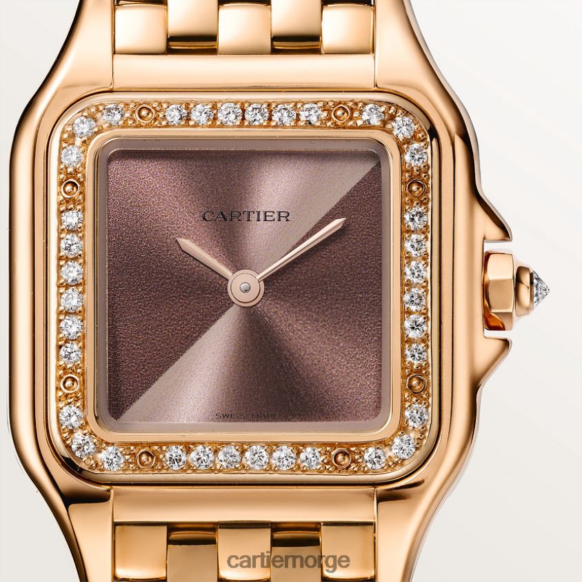 tilbehør Cartier panterklokke stilig F4466N855