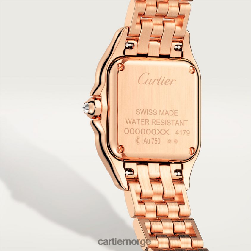 tilbehør Cartier panterklokke stilig F4466N855