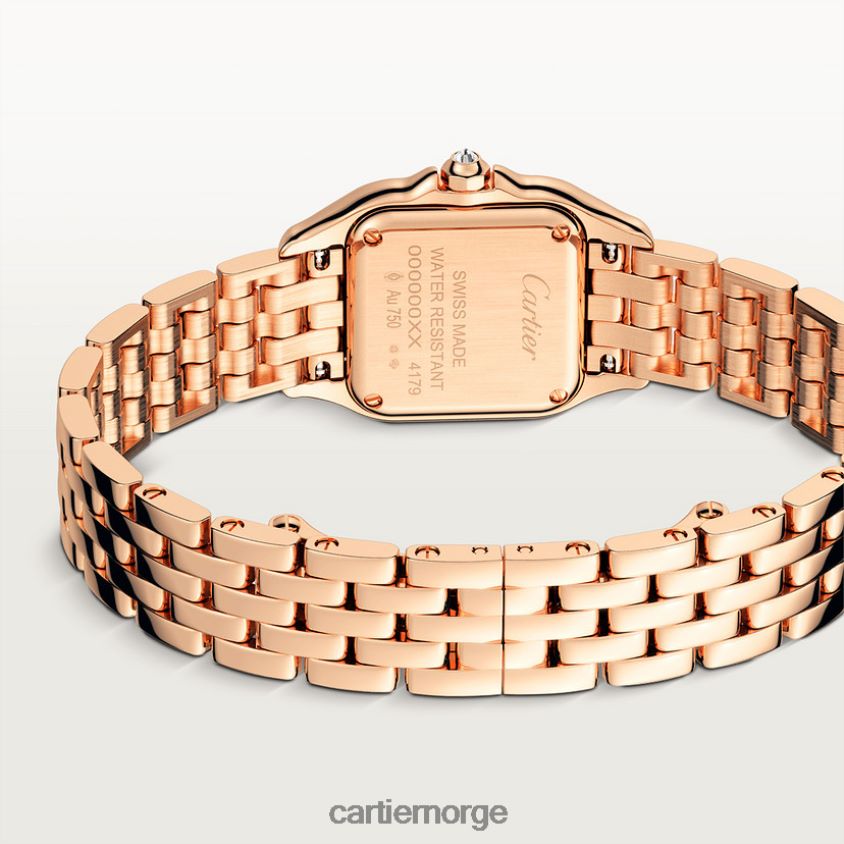 tilbehør Cartier panterklokke stilig F4466N855