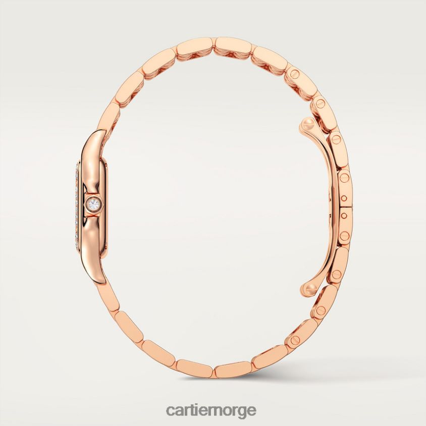 tilbehør Cartier panterklokke stilig F4466N855