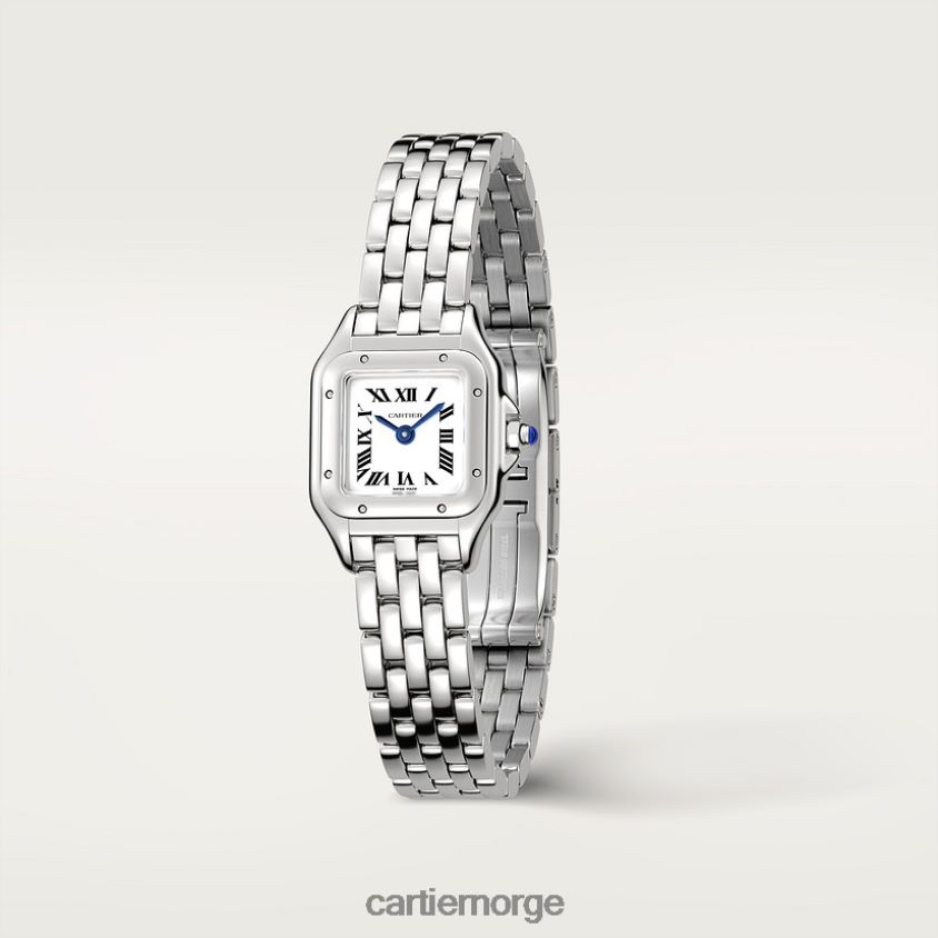 tilbehør Cartier panterklokke stilig F4466N856