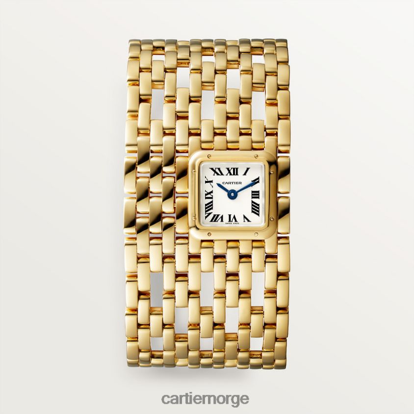 tilbehør Cartier panterklokke stilig F4466N857