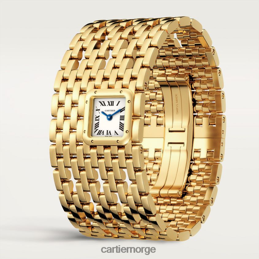 tilbehør Cartier panterklokke stilig F4466N857