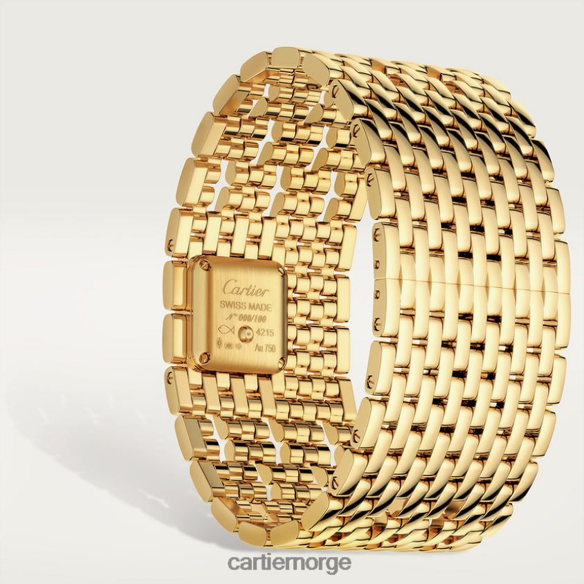 tilbehør Cartier panterklokke stilig F4466N857