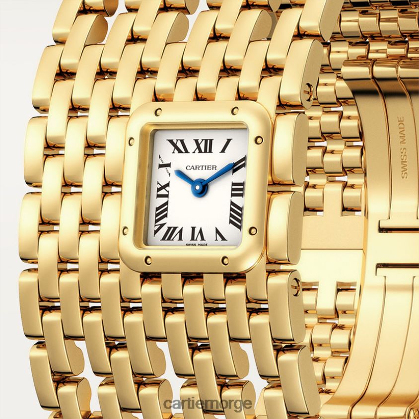 tilbehør Cartier panterklokke stilig F4466N857