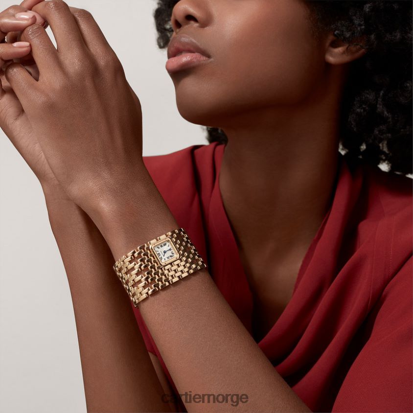 tilbehør Cartier panterklokke stilig F4466N857