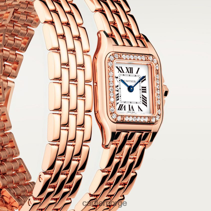 tilbehør Cartier panterklokke stilig F4466N859