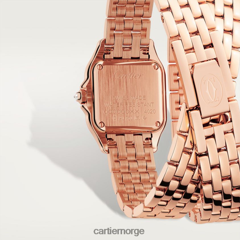 tilbehør Cartier panterklokke stilig F4466N859