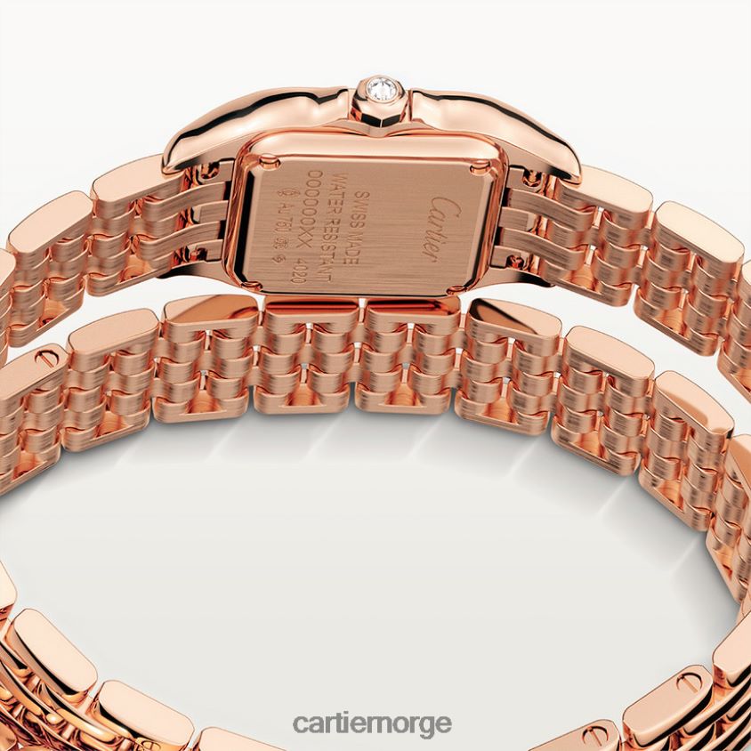 tilbehør Cartier panterklokke stilig F4466N859