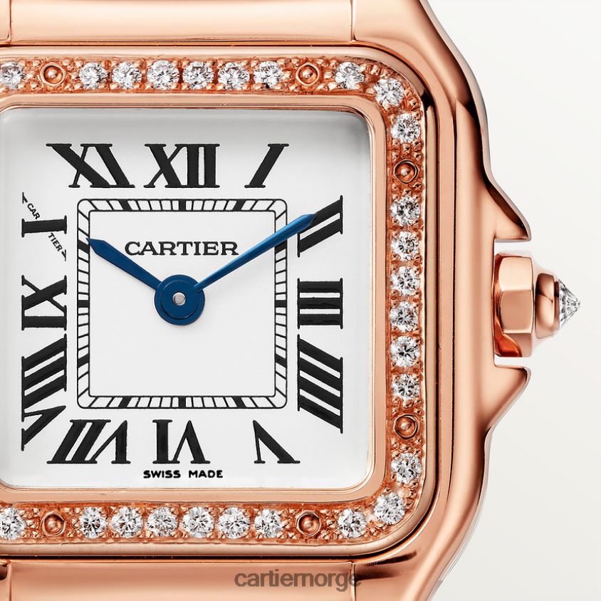 tilbehør Cartier panterklokke stilig F4466N859