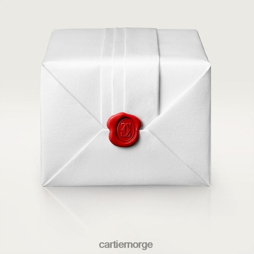 tilbehør Cartier panterklokke stilig F4466N859