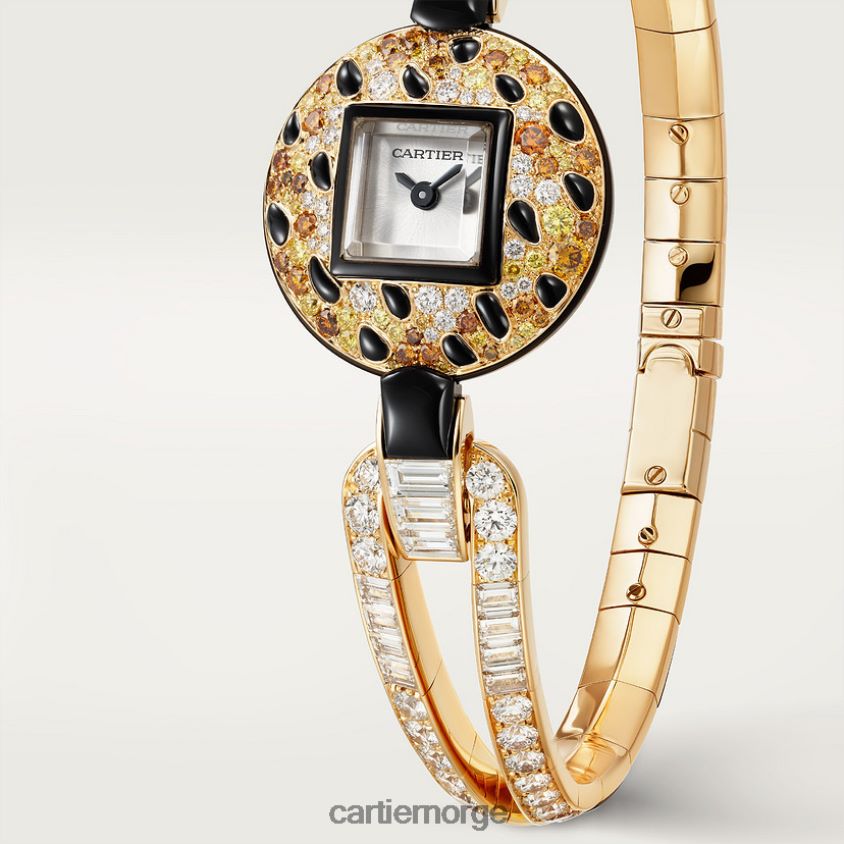 tilbehør Cartier panthere smykkeklokker stilig F4466N1012