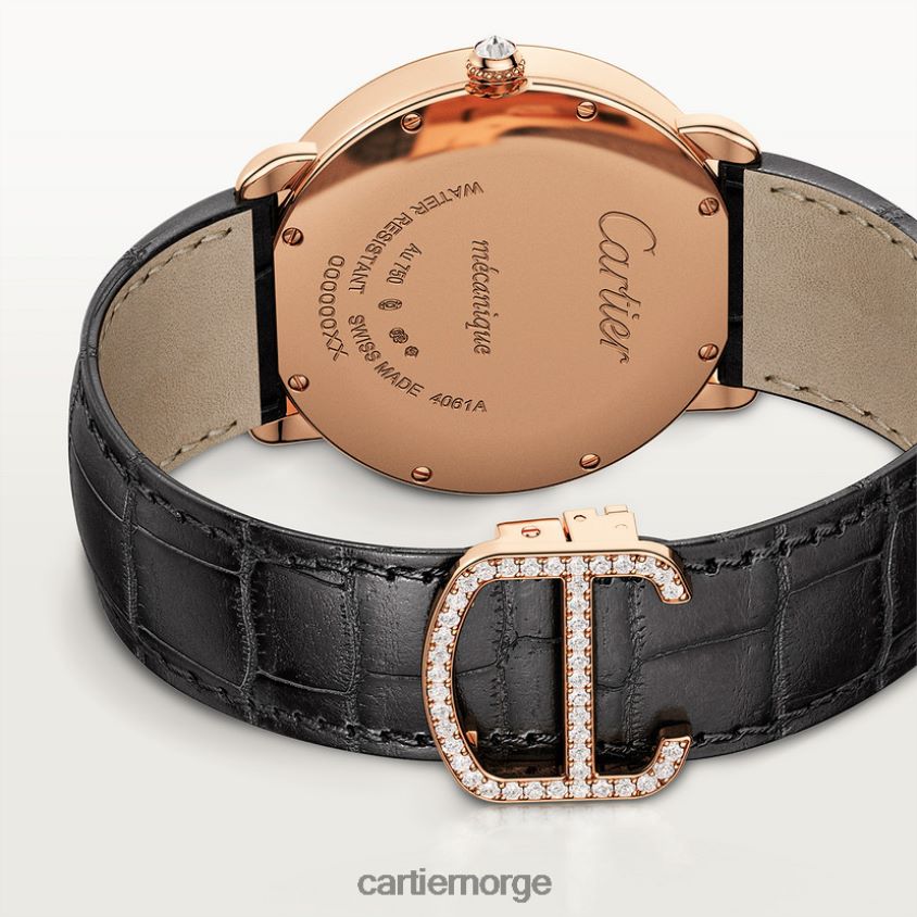 tilbehør Cartier revelation d'une panthere se stilig F4466N995