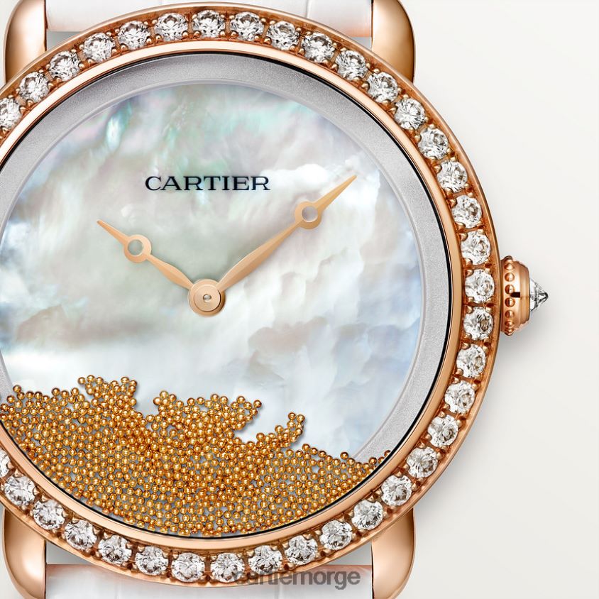 tilbehør Cartier revelation d'une panthere se stilig F4466N997