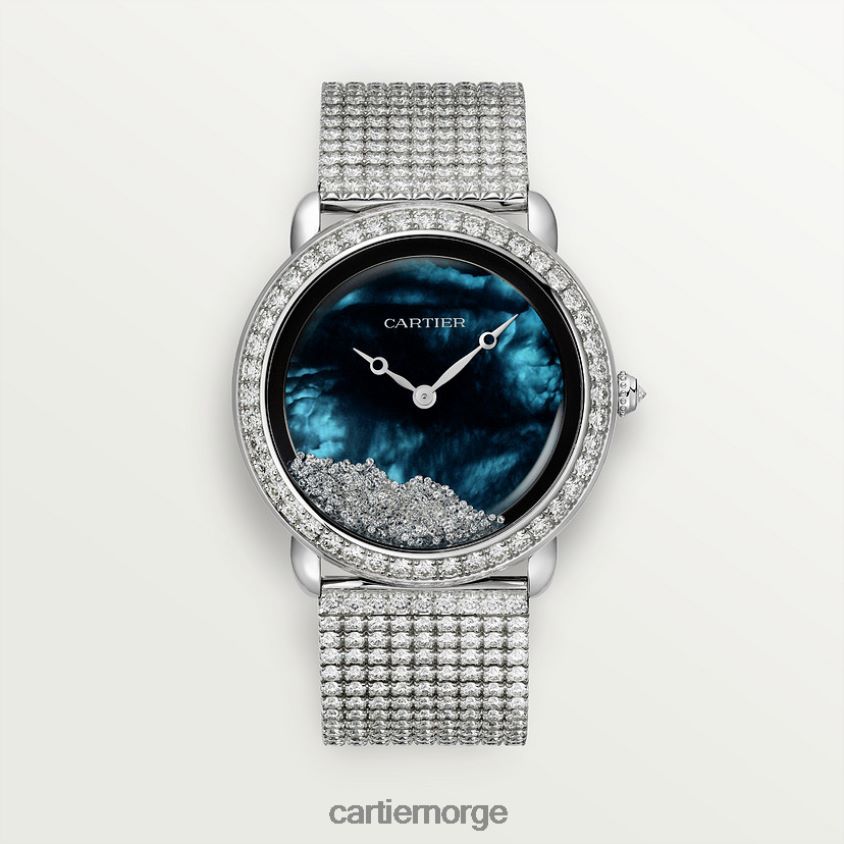 tilbehør Cartier revelation d'une panthere se stilig F4466N998