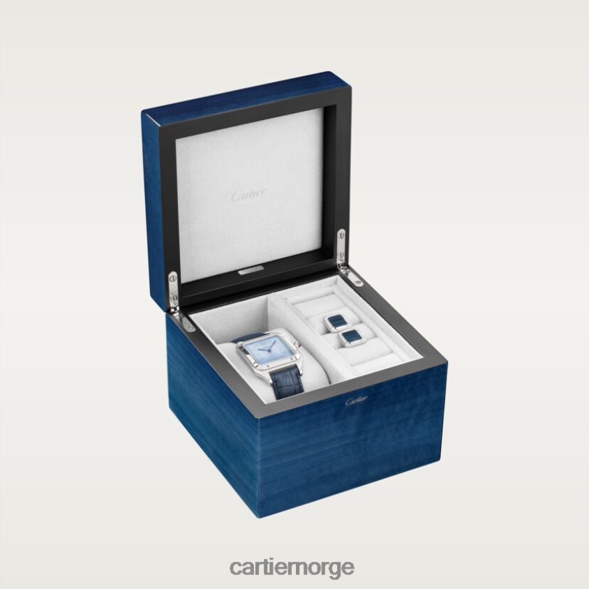 tilbehør Cartier dyrebar santos-dumont boks stilig F4466N896