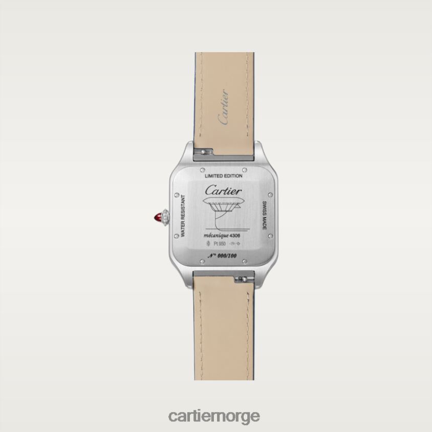 tilbehør Cartier dyrebar santos-dumont boks stilig F4466N896