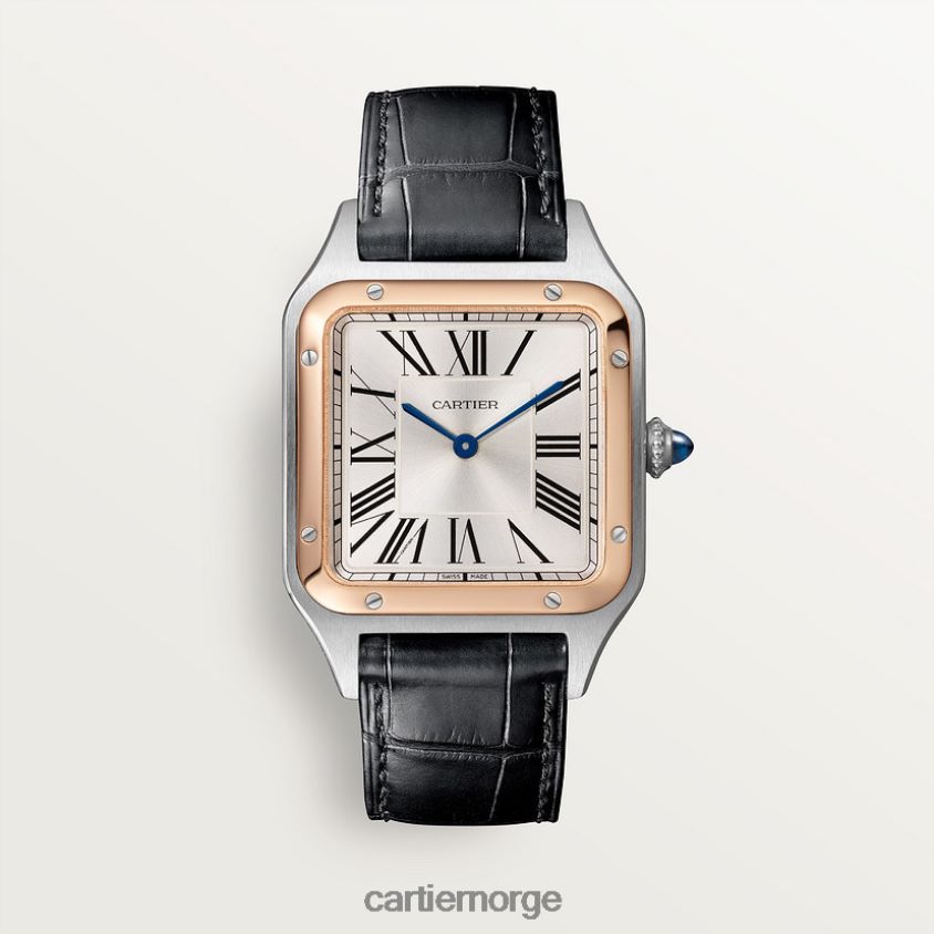 tilbehør Cartier santos-dumont klokke stilig F4466N872