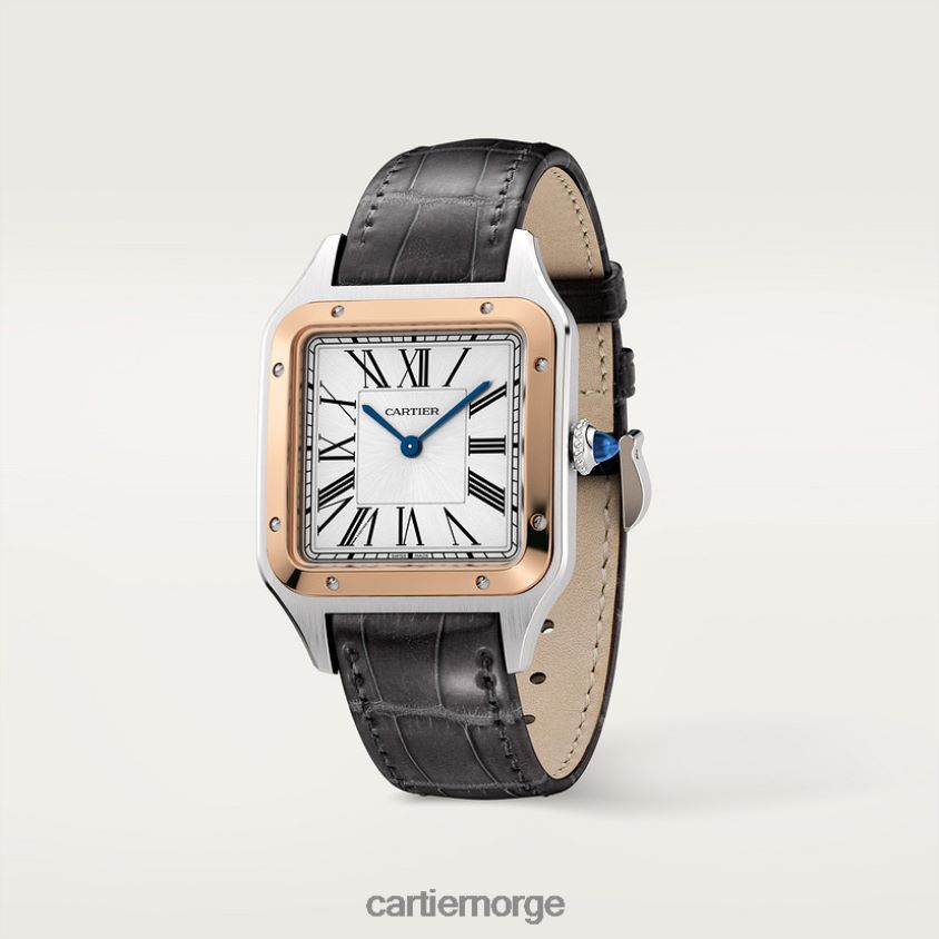 tilbehør Cartier santos-dumont klokke stilig F4466N872