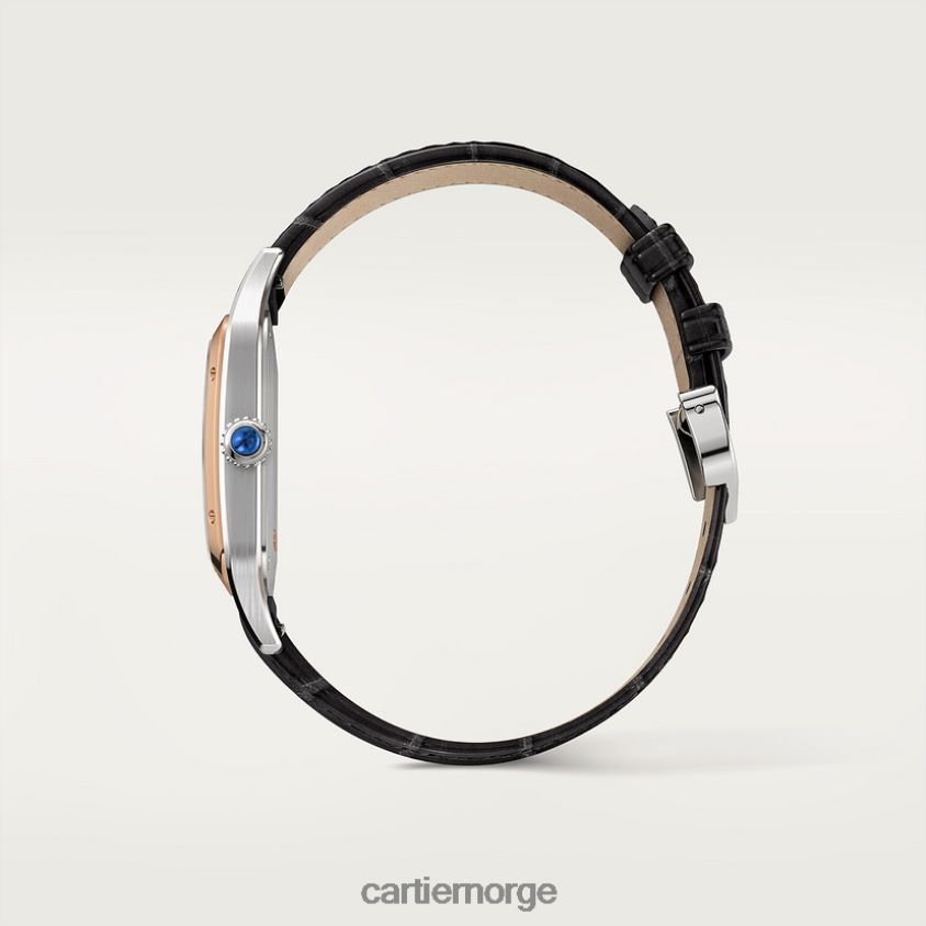 tilbehør Cartier santos-dumont klokke stilig F4466N872