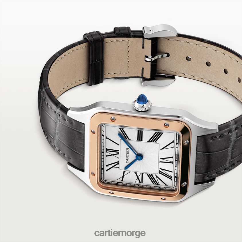tilbehør Cartier santos-dumont klokke stilig F4466N872