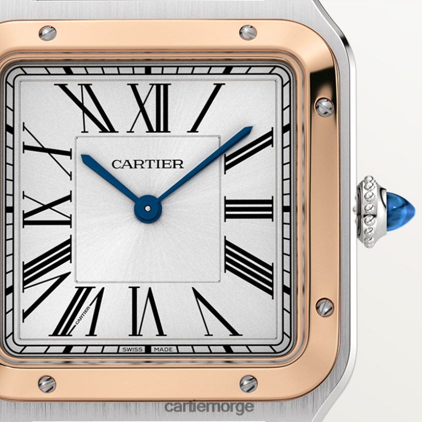 tilbehør Cartier santos-dumont klokke stilig F4466N872