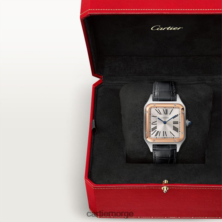 tilbehør Cartier santos-dumont klokke stilig F4466N872