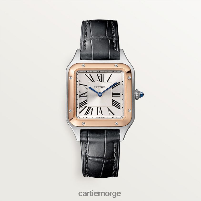 tilbehør Cartier santos-dumont klokke stilig F4466N873