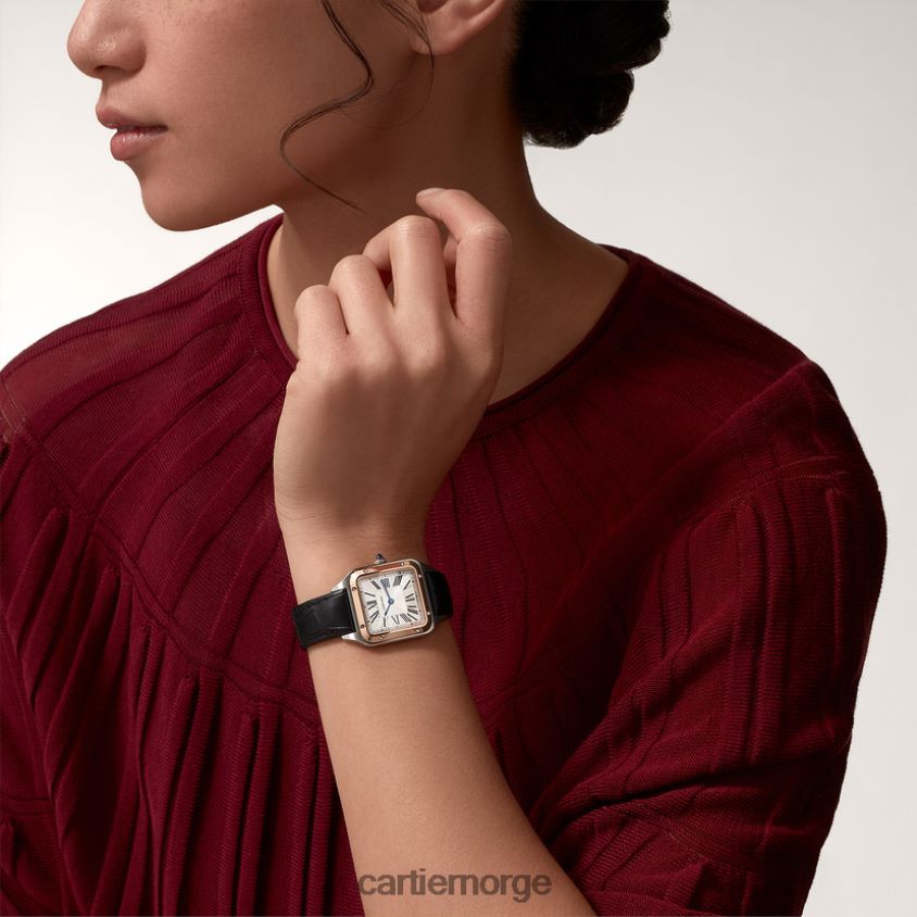 tilbehør Cartier santos-dumont klokke stilig F4466N873