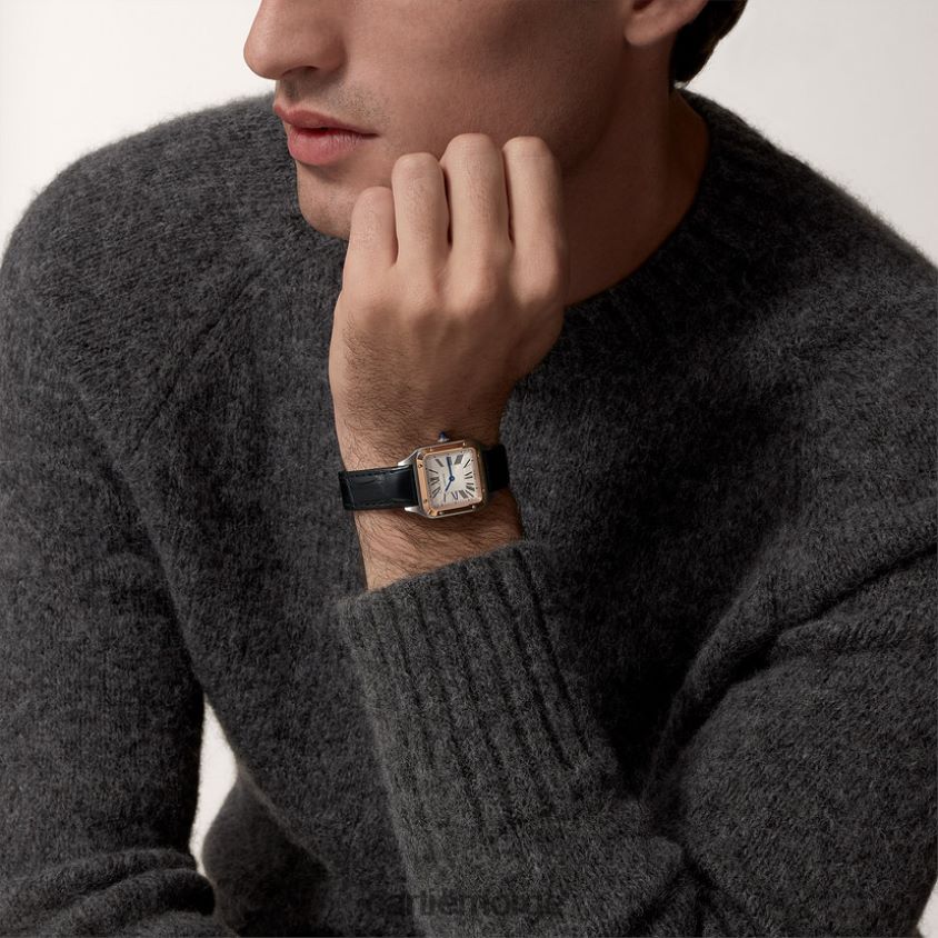 tilbehør Cartier santos-dumont klokke stilig F4466N873