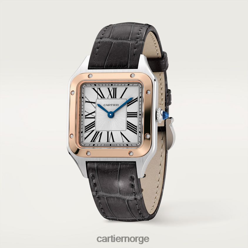 tilbehør Cartier santos-dumont klokke stilig F4466N873
