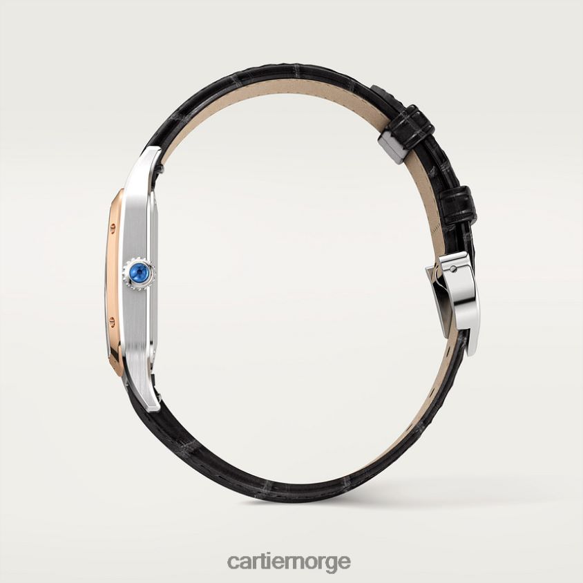 tilbehør Cartier santos-dumont klokke stilig F4466N873