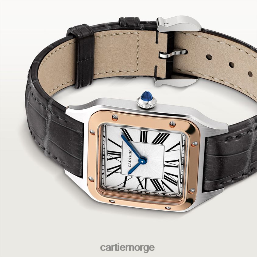 tilbehør Cartier santos-dumont klokke stilig F4466N873