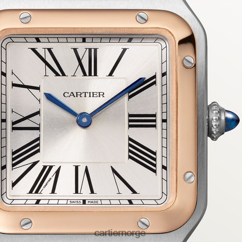 tilbehør Cartier santos-dumont klokke stilig F4466N873