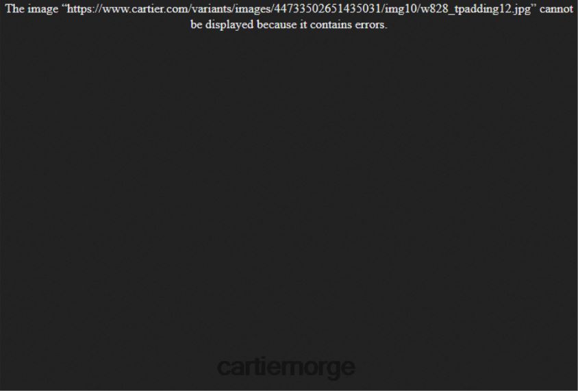 tilbehør Cartier santos-dumont klokke stilig F4466N874