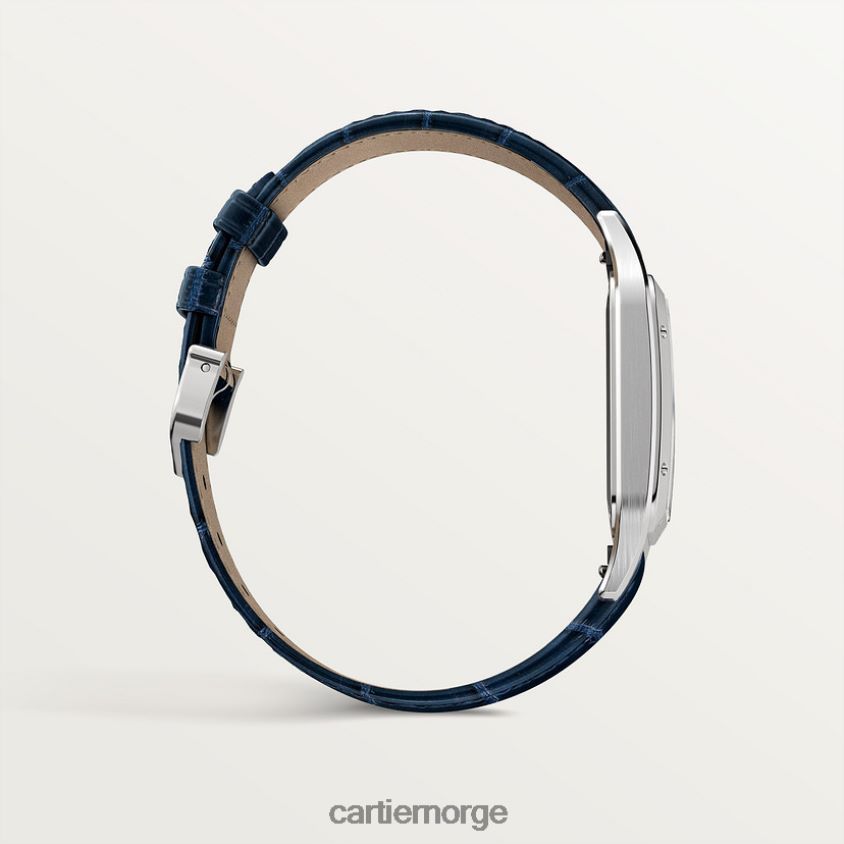 tilbehør Cartier santos-dumont klokke stilig F4466N874