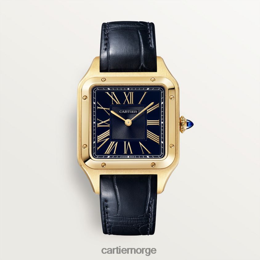 tilbehør Cartier santos-dumont klokke stilig F4466N875