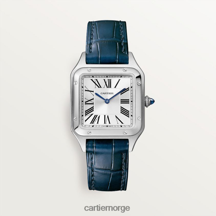 tilbehør Cartier santos-dumont klokke stilig F4466N881