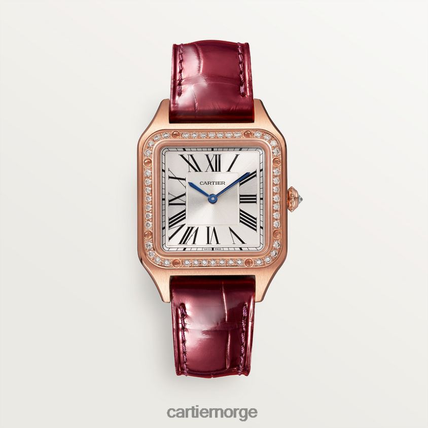 tilbehør Cartier santos-dumont klokke stilig F4466N882