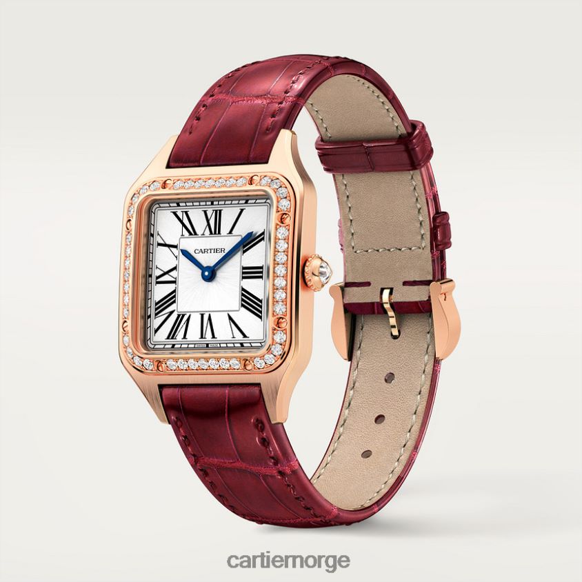 tilbehør Cartier santos-dumont klokke stilig F4466N882