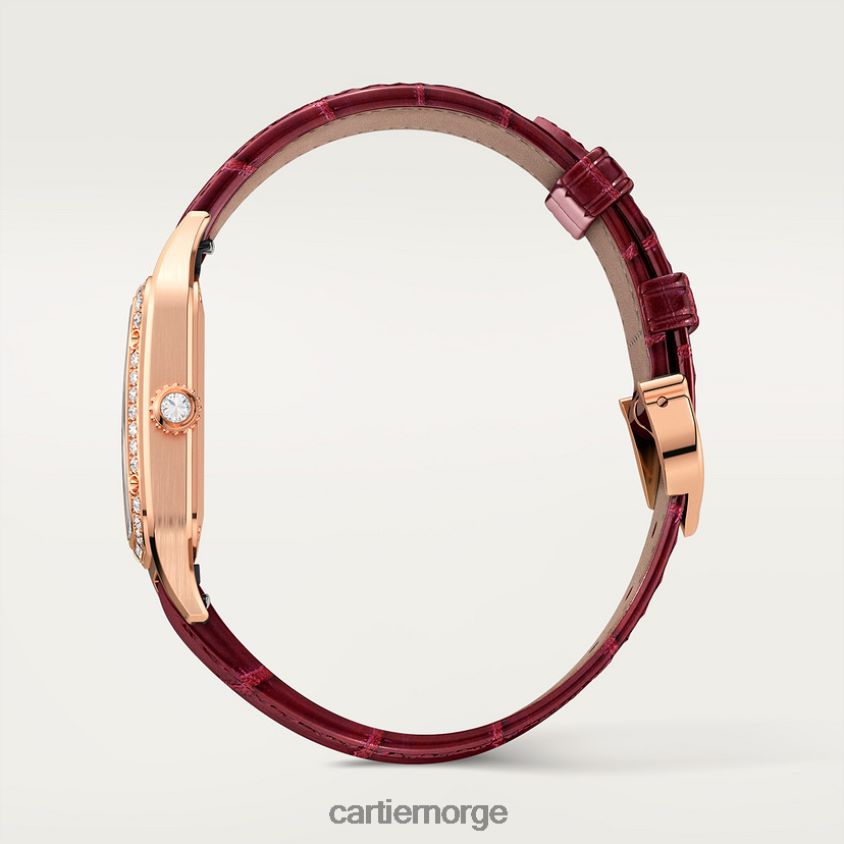 tilbehør Cartier santos-dumont klokke stilig F4466N882