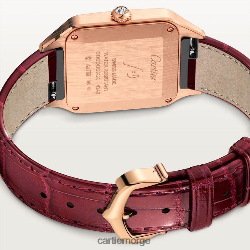 tilbehør Cartier santos-dumont klokke stilig F4466N882